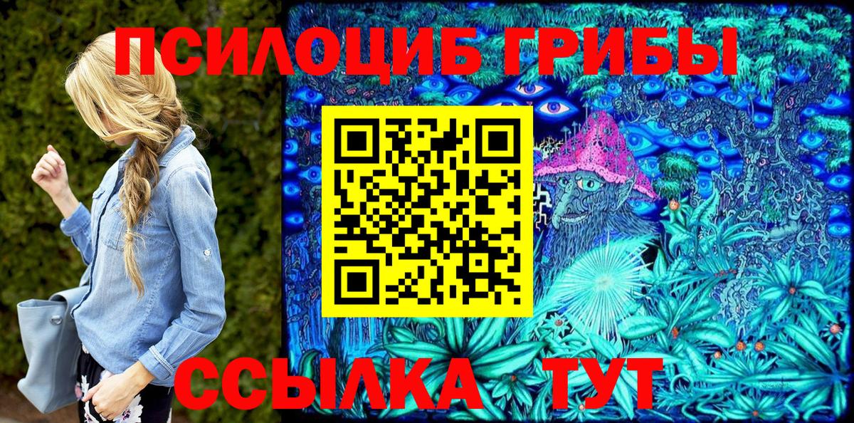 Псилоцибиновые грибы мицелий Лысьва